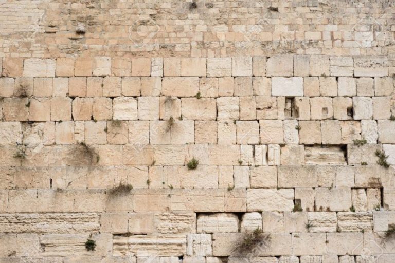 A Carbonização da Natureza